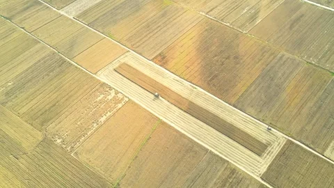 Harvesting of wheat fields by the big river and harvesting of autumn crops. Stock Footage 288163290
