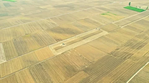 Harvesting of wheat fields by the big river and harvesting of autumn crops. Stock Footage 288163362