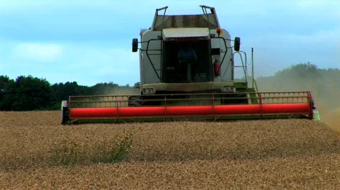 Harvesting the wheat Stock Footage 157228