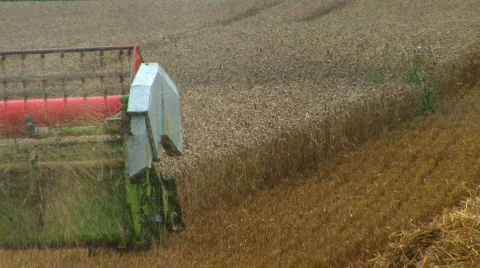 Harvesting the wheat Stock Footage 448249