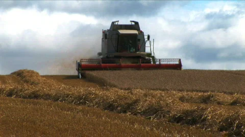 Harvesting the wheat Stock Footage 460831
