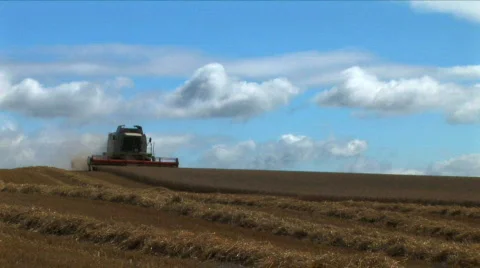 Harvesting the wheat Stock Footage 461103