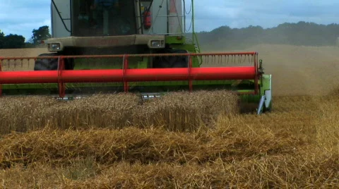 Harvesting the wheat Stock Footage 477297