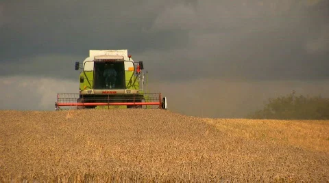 Harvesting the wheat Stock Footage 499190