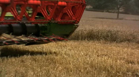 Harvesting the wheat Stock Footage 499312