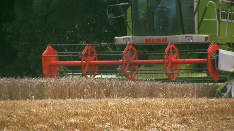 Harvesting the wheat Stock Footage 499337