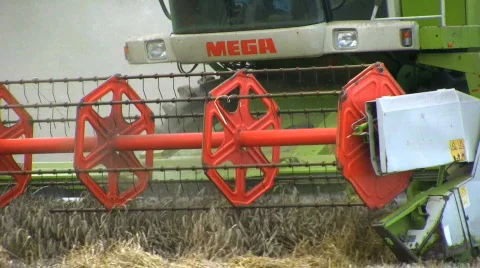 Harvesting the wheat Stock Footage 499360