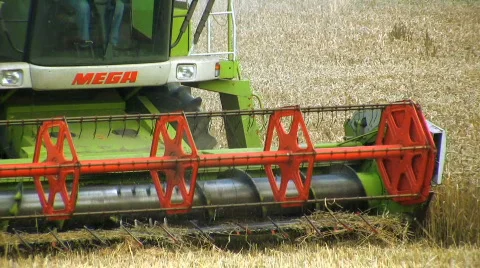 Harvesting the wheat Stock Footage 499374