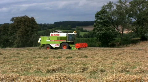 Harvesting the wheat Stock Footage 499770