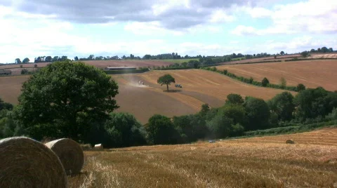 Harvesting the wheat Stock Footage 500590