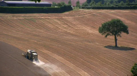 Harvesting the wheat Stock Footage 500897