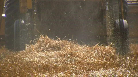 Harvesting the wheat Stock Footage 500945