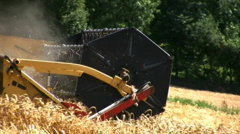 Harvesting the wheat Stock Footage 500955