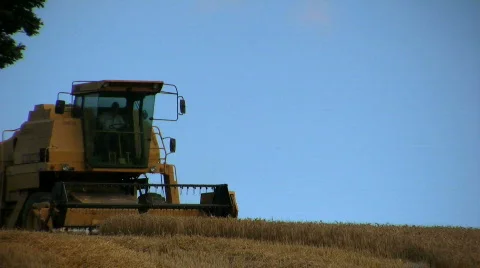 Harvesting the wheat Stock Footage 516309