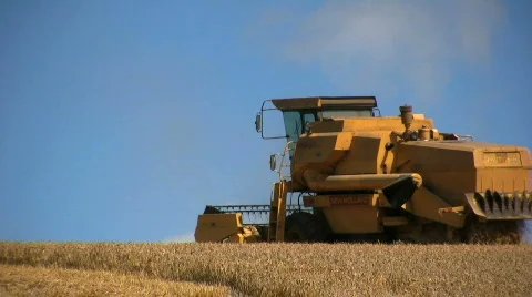 Harvesting the wheat Stock Footage 516312