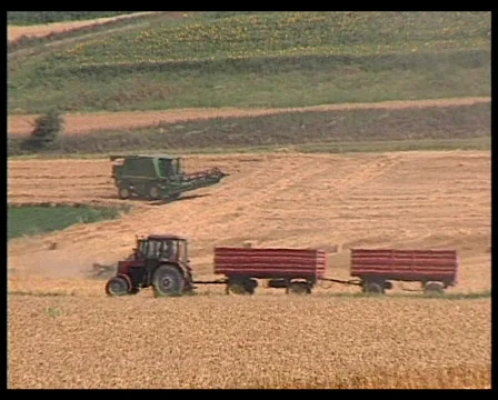Harvesting Wheat Stock Footage 719434