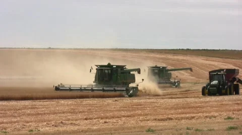 Harvesting Wheat Stock Footage 8563350
