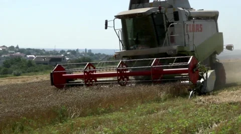 Harvesting wheat Stock Footage 52538044