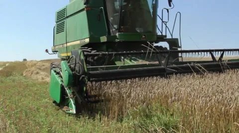 Harvesting wheat Stock Footage 52538073