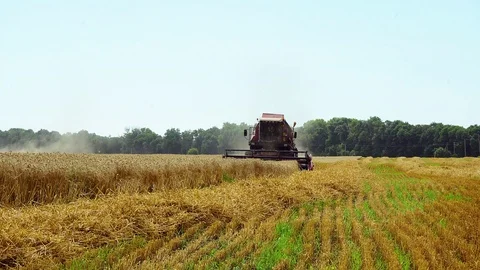 Harvesting wheat Stock Footage 107940967