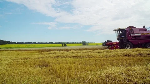 Harvesting wheat 스톡 동영상 112144539