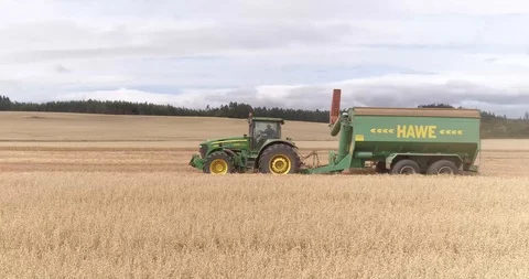Harvesting wheat Stock Footage 124857392