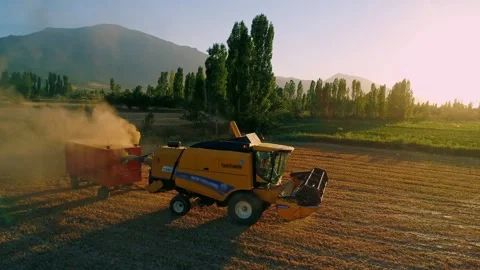 Harvesting Wheat Stock Footage 340779229