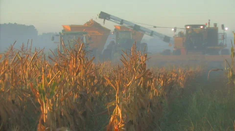 Harvesting1 Video stock 846218