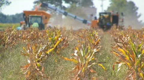 Harvesting3 Video stock 846380