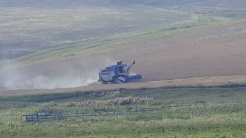 Harvests harvest Vídeos de archivo 220068385