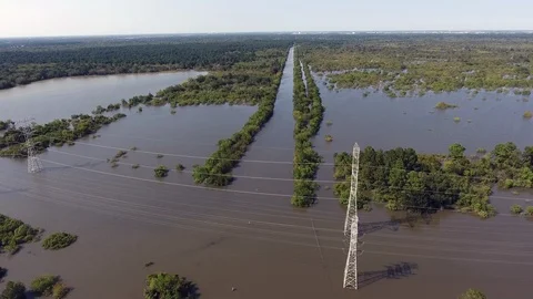 Harvey-Eldridge AFR002 Video stock 86780031