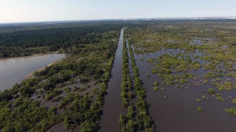 Harvey-Eldridge AFR003 Video stock 86780694