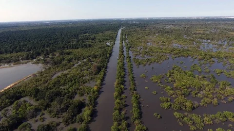 Harvey-Eldridge AFR004 Video stock 86780908