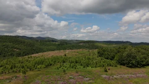 Harz hills with clearcuts and forest aerial panorama Germany Stockbeeldmateriaal 341284193