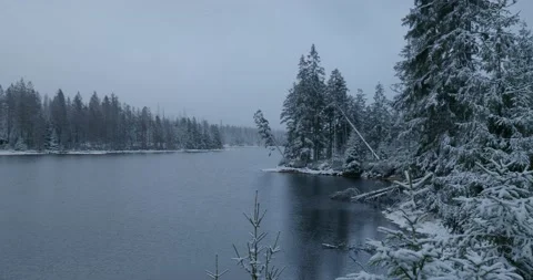 Harz mountain range Oderteich lake with trees and snowy rough forest landscape Stock Footage 235140878