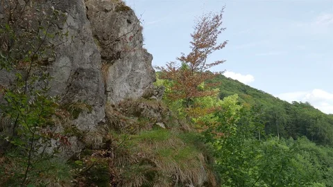 Harz mountain range rocks and hills with green trees in summer Stock Footage 93352007
