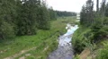 Harz mountain range valley with river Oder spring water HD Footage
