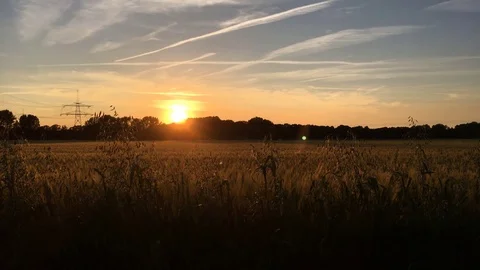 Harz Sunset Vídeos de archivo 76793930