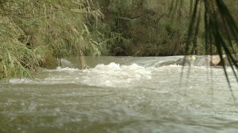 Hasbani river 6 Stockbeeldmateriaal 752242