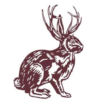 Hase mit Hirschgeweih Stock Photos