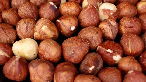 Haselnuss Hazelnut seamless looping background closeup video Video stock 101351577