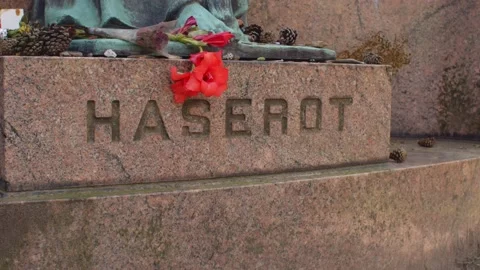 Haserot Angel Stock Footage 159439211