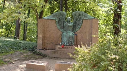 Haserot Angel Stock Footage 159439598