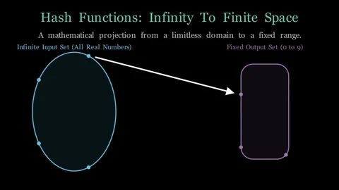 Hash Function Exploration 動画素材 339495253