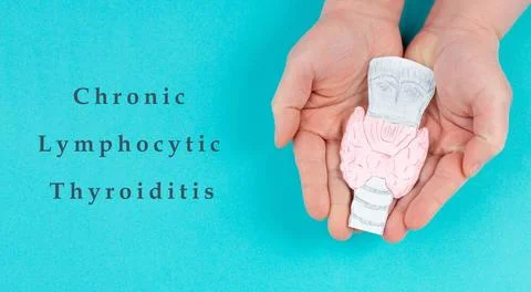Hashimoto s thyroiditis, chronic lymphocytic disease, holding a thyroid or... Stock Photos