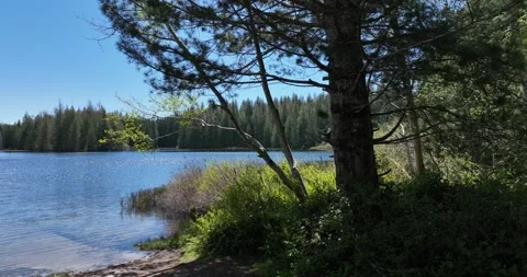 Haslam lake Stock Footage 194747330