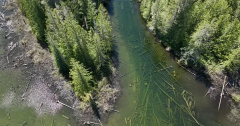 Haslam lake Stock Footage 196045534