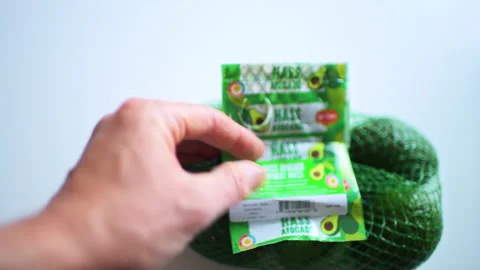 Hass avocado in bag hand holding macro closeup fruit vegetable Stock Footage 330198352