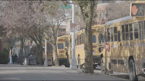 Hassidic community school bus lined up Stock Footage 161343197