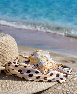 Hat and shell on a sandy beach by the sea Stock Photos